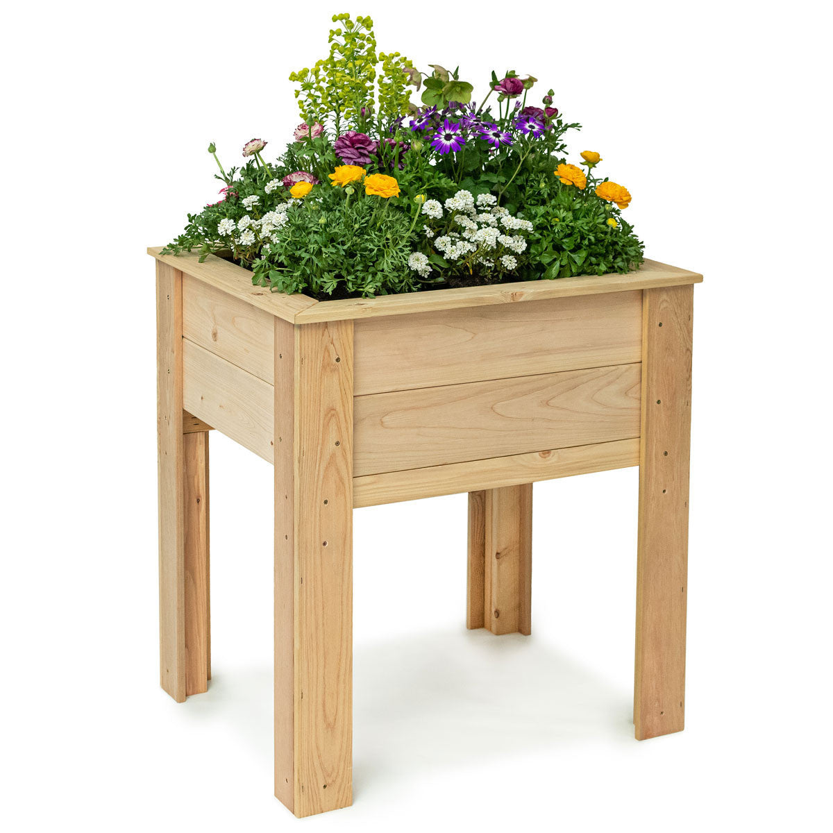 Natural Cedar Elevated Garden Planter