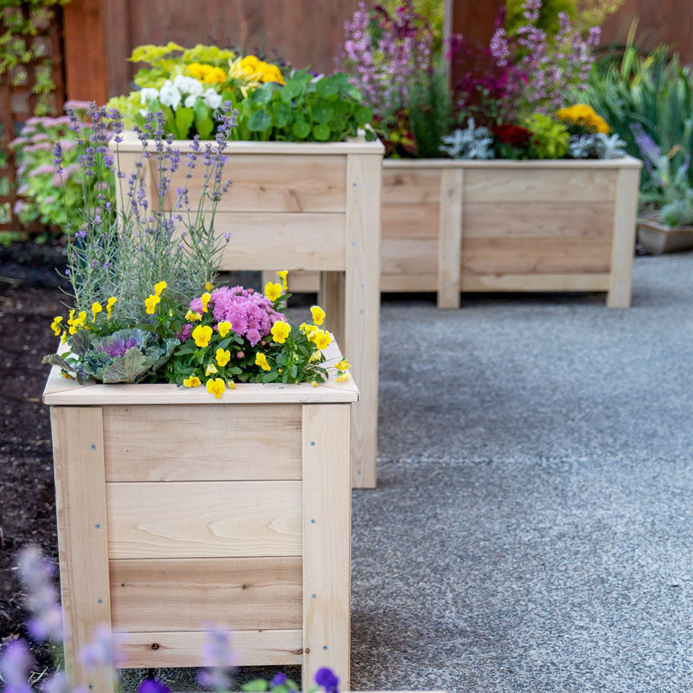 Natural Cedar Planter Boxes