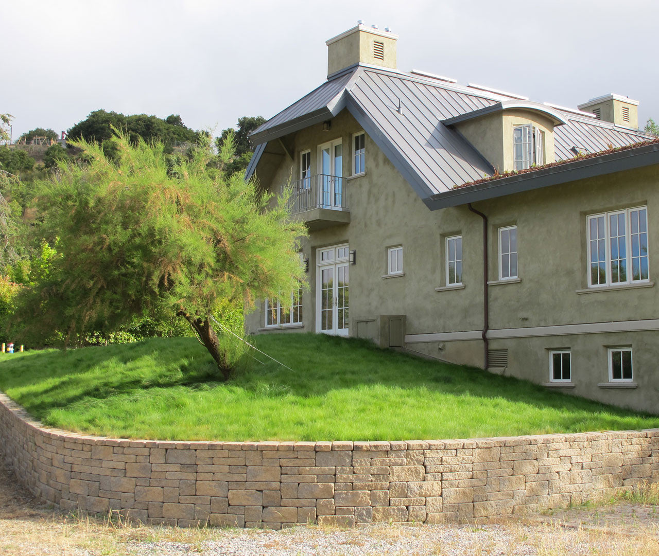 Eco-Lawn in Southern California