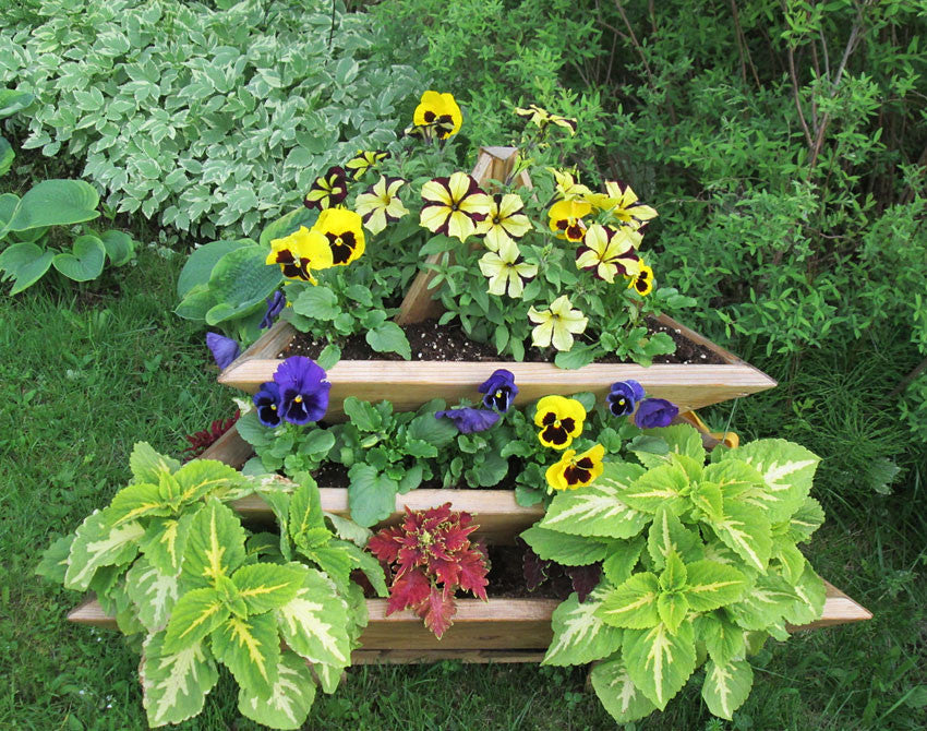 3 Level Plant Pyramid