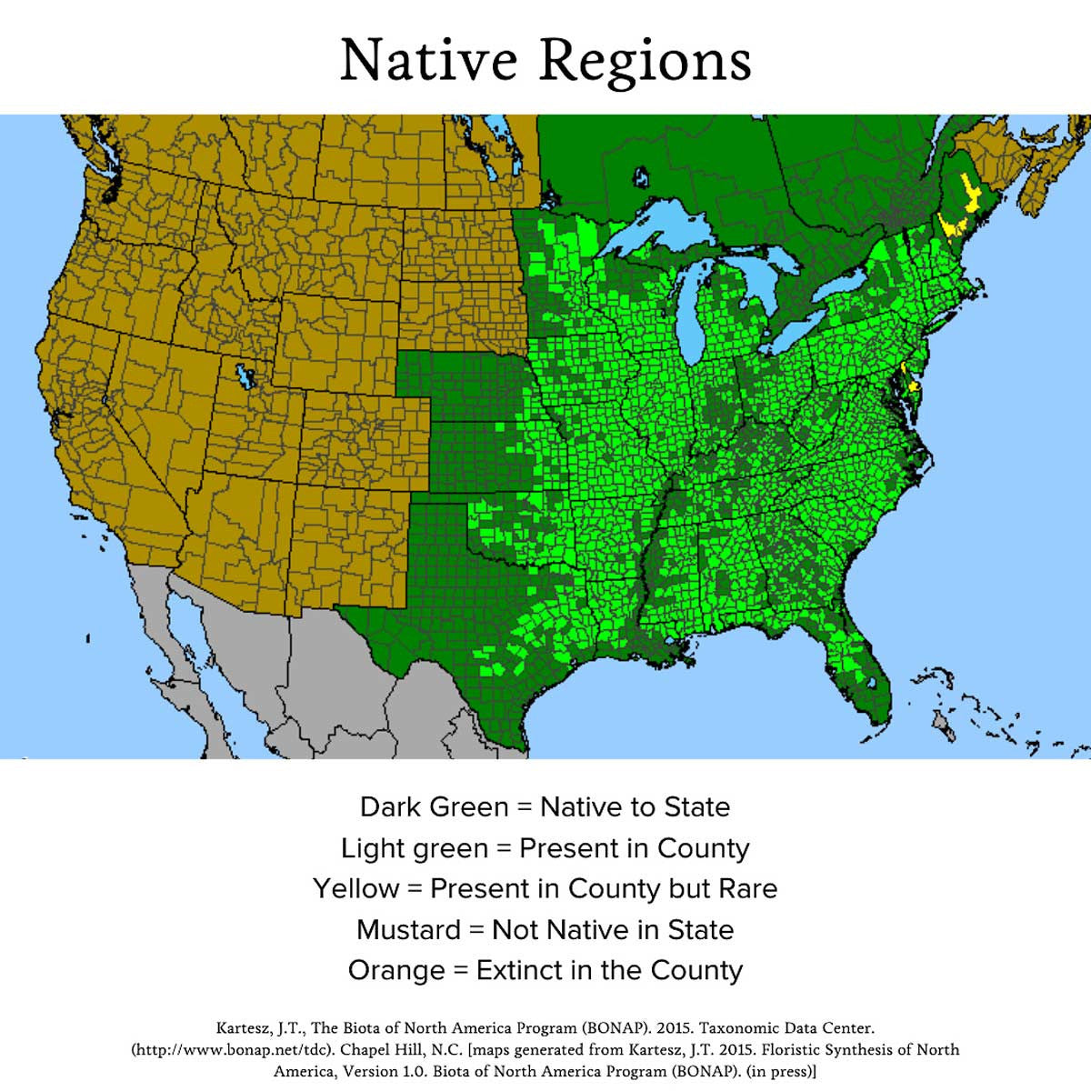 Audubon® Native Jersey Tea Shrub