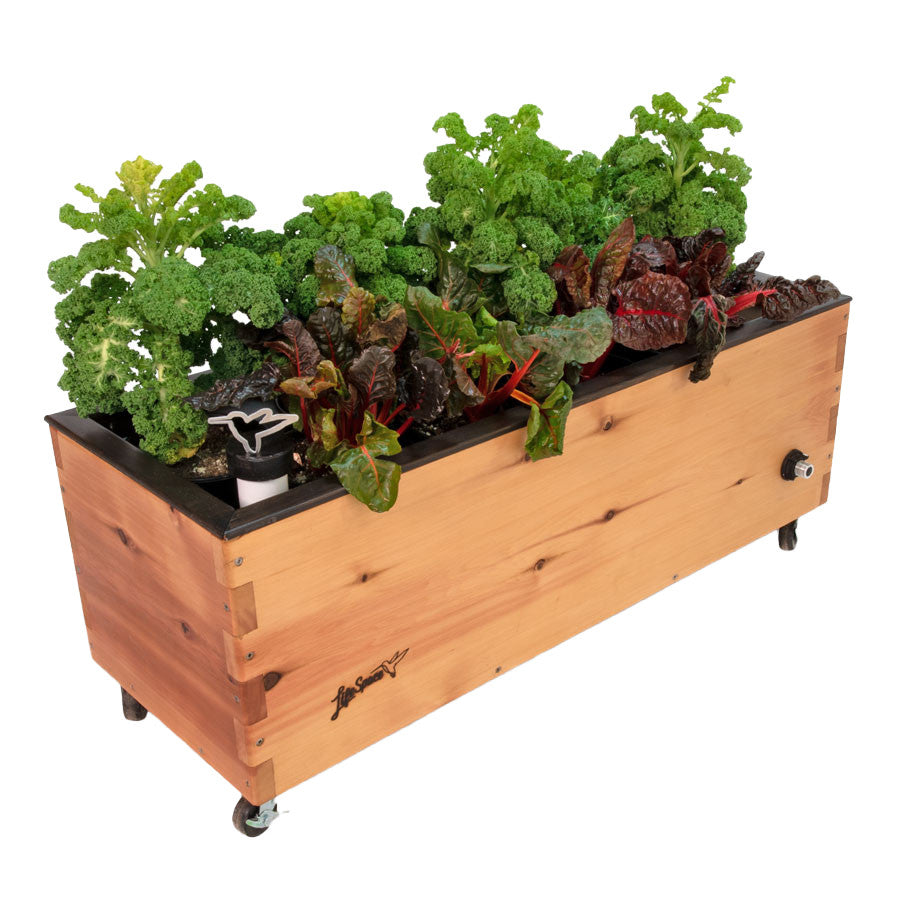 LowRider Self-Watering Cedar Planter