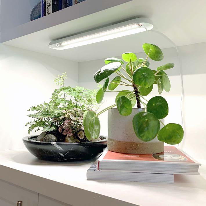 Smart Grow Bar - Matte White