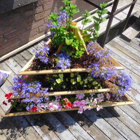 3 Level Plant Pyramid