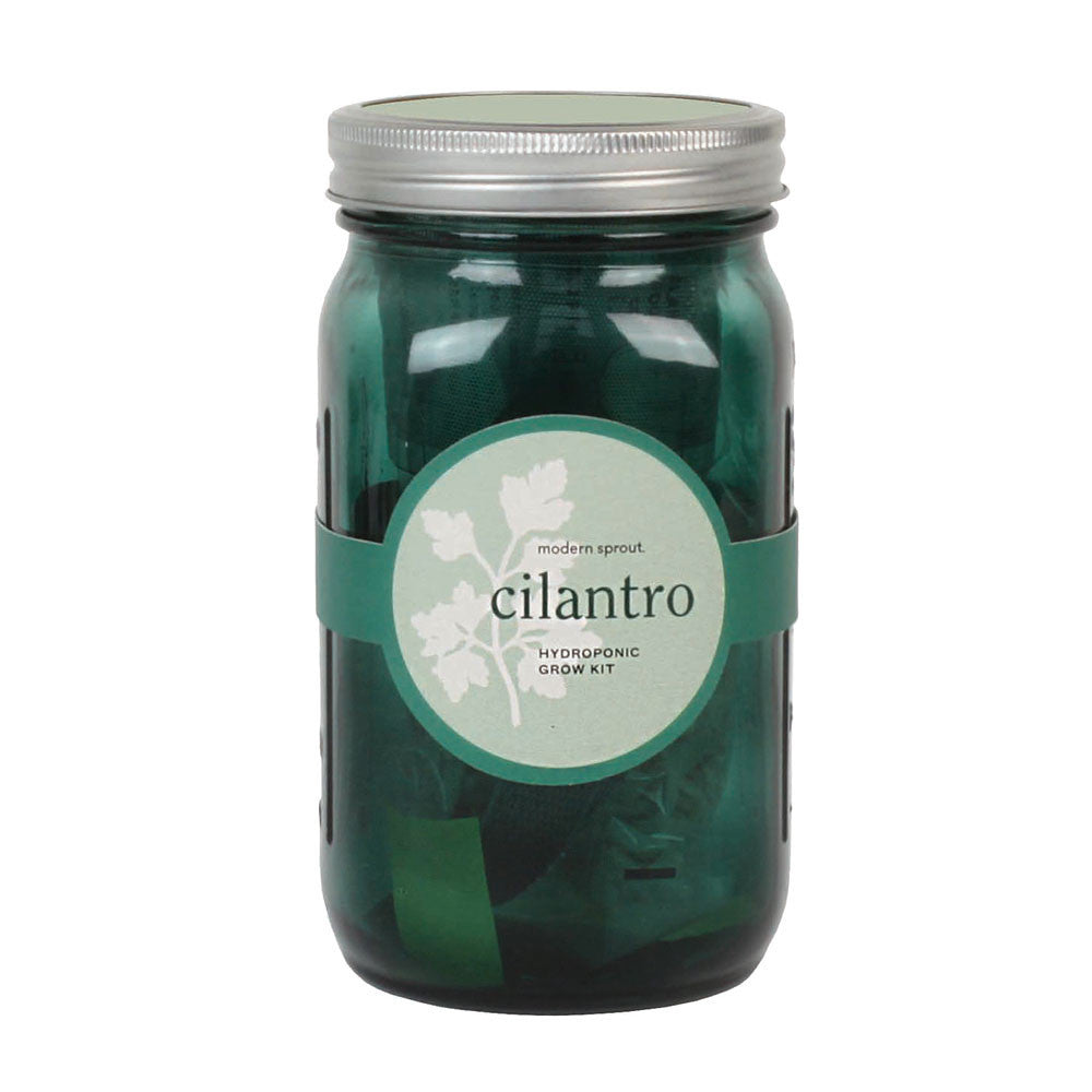 Cilantro Garden Jar