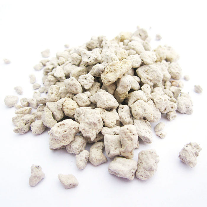 Pumice - 5 Gallons