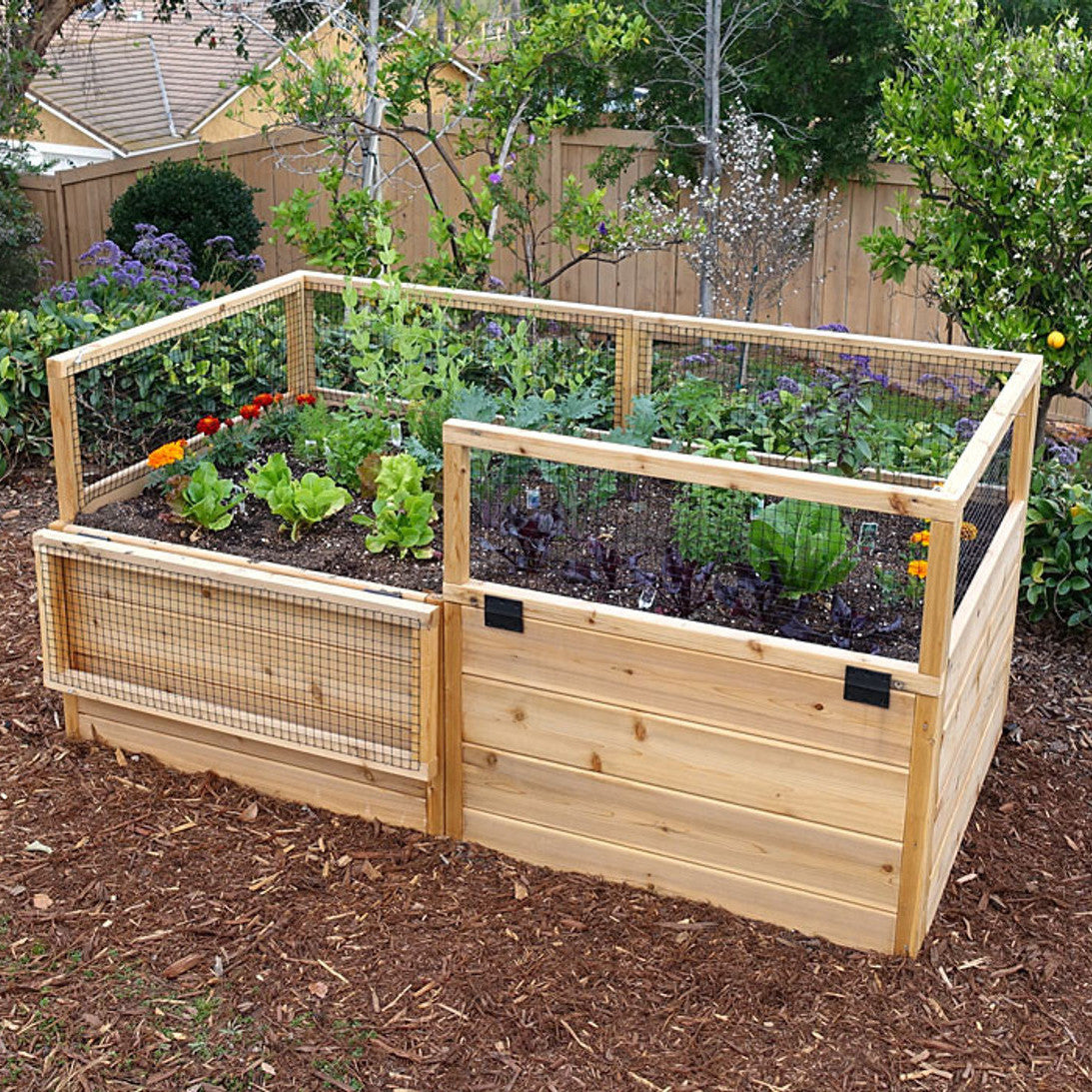 3' x 6' Raised Garden Bed With Hinged Fencing
