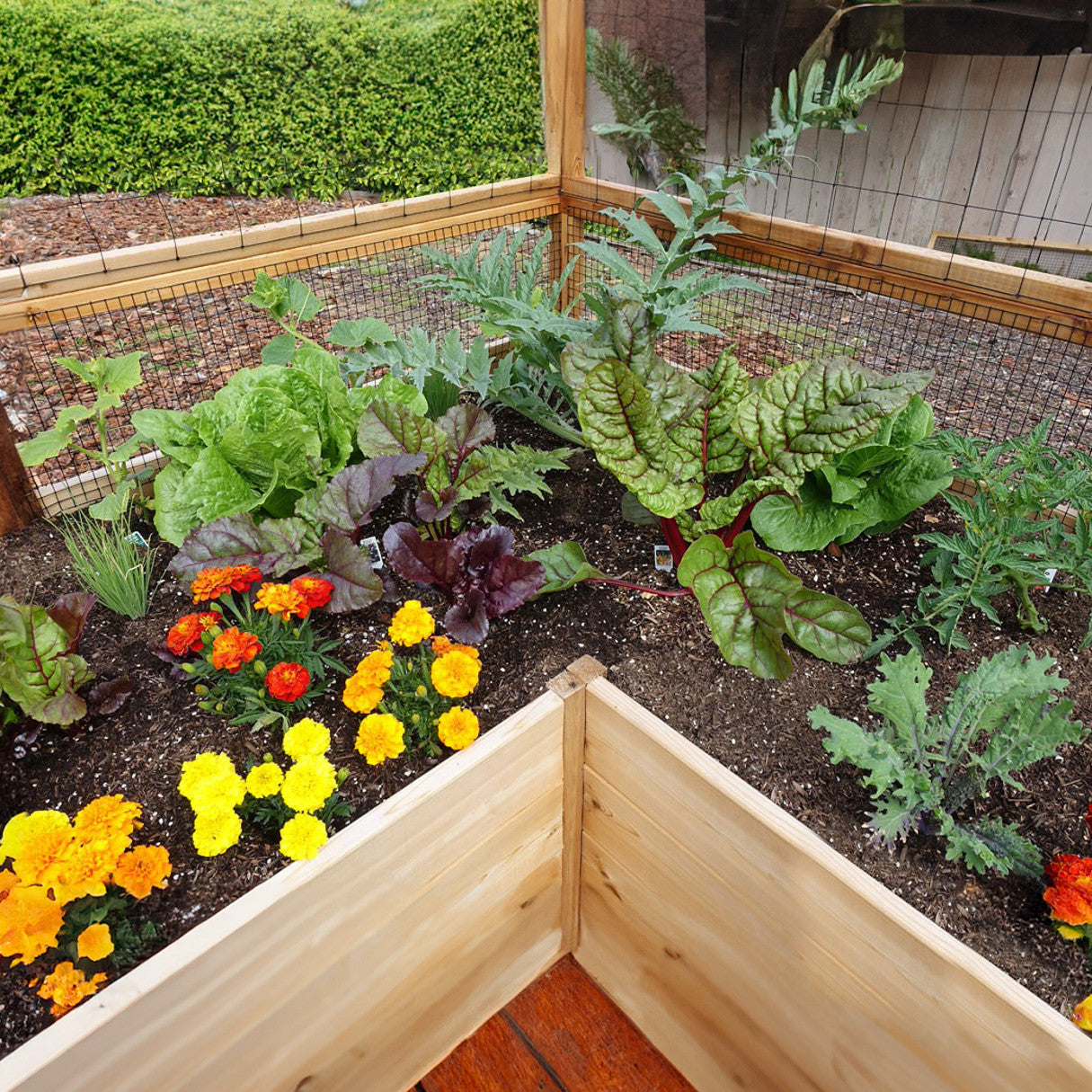 Cedar Complete Raised Garden Bed Kit - 8' x 16'