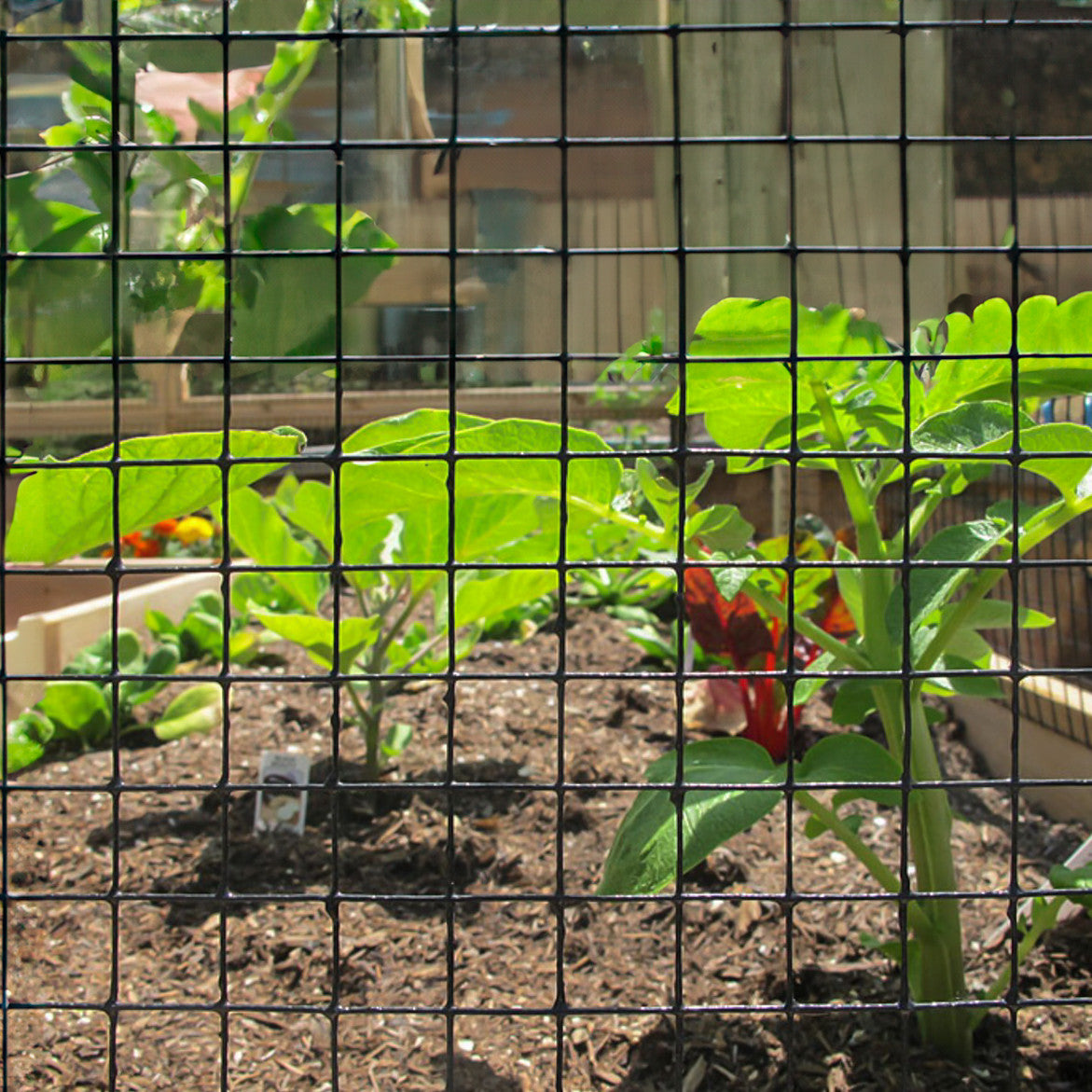 Cedar Complete Raised Garden Bed Kit - 8' x 16'