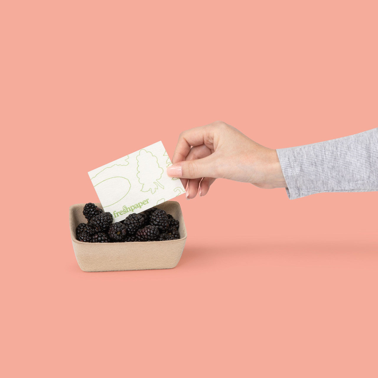 FreshPaper Produce Saver