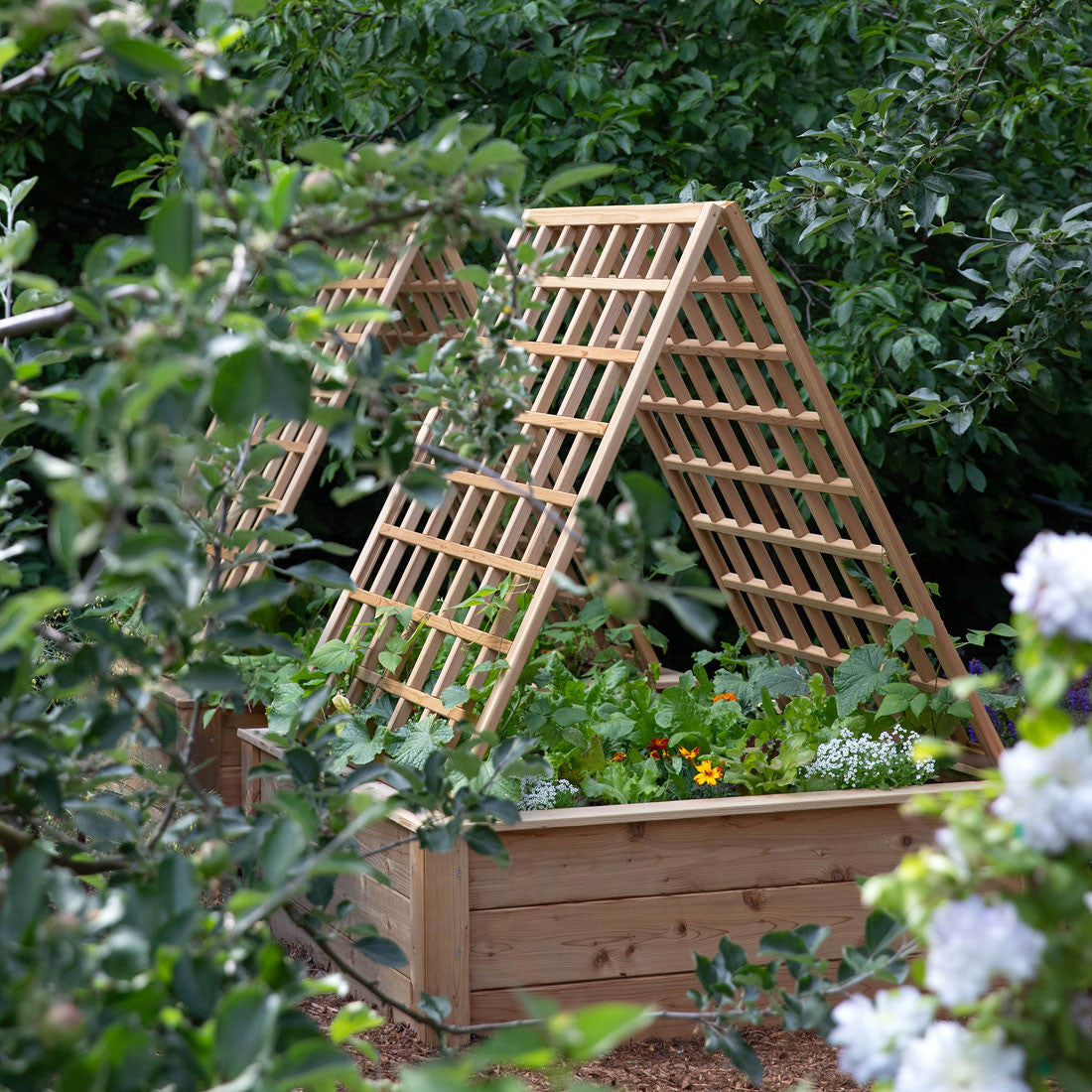 Natural Cedar A-Frame Trellises