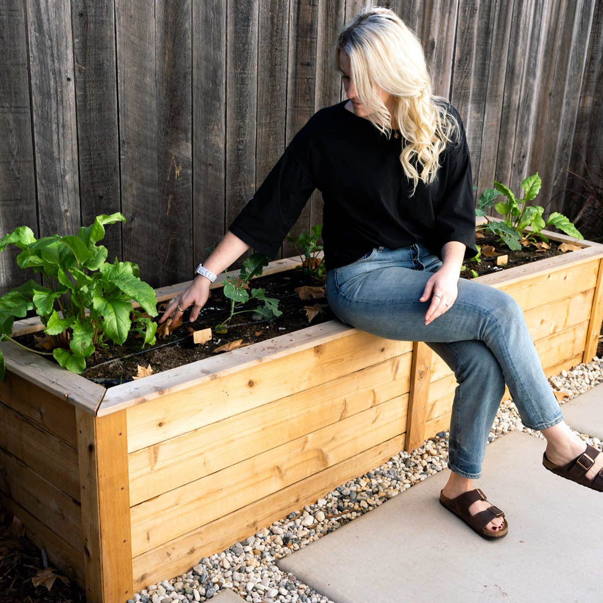Natural Cedar Raised Garden Beds